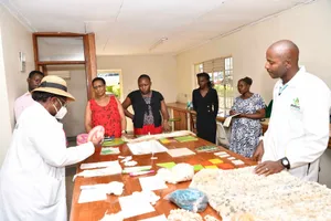 Banana fiber products research