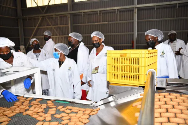 Biscuit production line