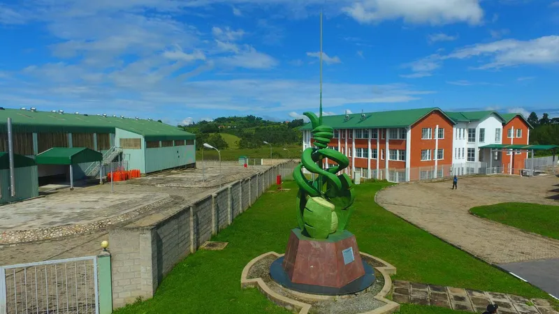 BIRDC Pilot Plant in Bushenyi