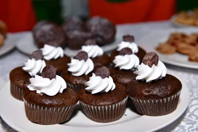 Chocolate cupcakes made with Tooke flour