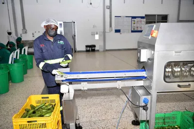 Pilot Plant photo 10